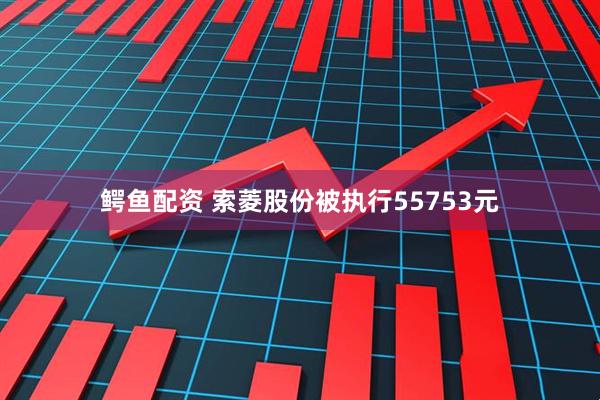 鳄鱼配资 索菱股份被执行55753元