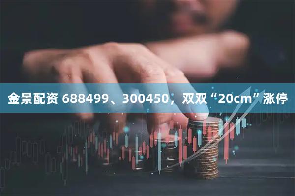 金景配资 688499、300450，双双“20cm”涨停