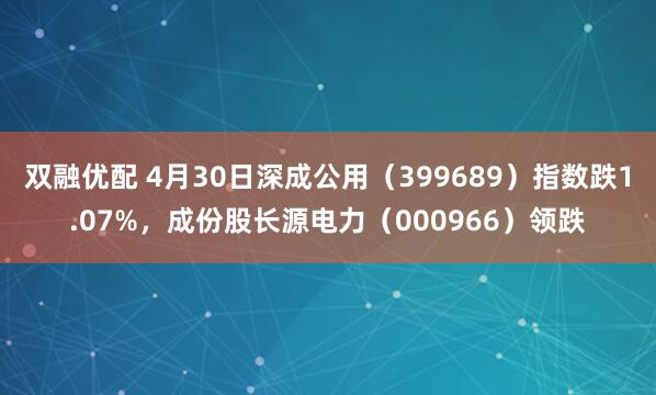 双融优配 4月30日深成公用（399689）指数跌1.07%，成份股长源电力（000966）领跌