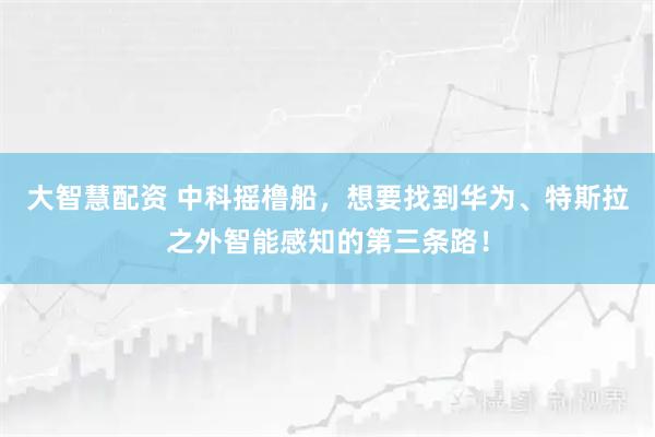 大智慧配资 中科摇橹船，想要找到华为、特斯拉之外智能感知的第三条路！